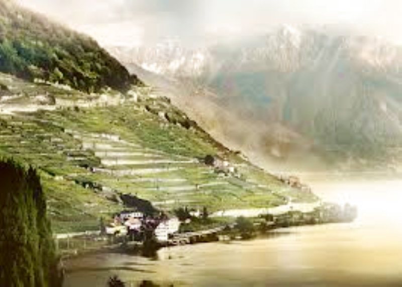 Il Vino in Svizzera