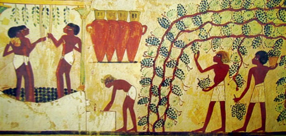 Gli Antichi Egizi usavano il vino più di 5.000 anni fa