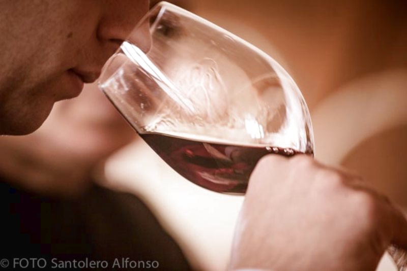 I VINI MEDITERRANEISI RACCONTANO A LONDRAProgetto europeo per la promozione dei vini del Mediterraneo
