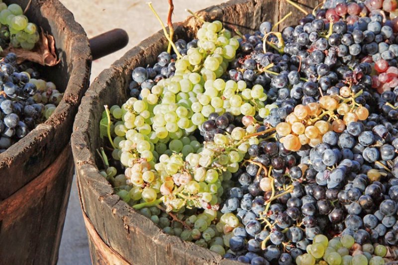 ANTEPRIMA SAGRANTINO 2012quattro concorsi per diffondere la cultura del celebre vitigno