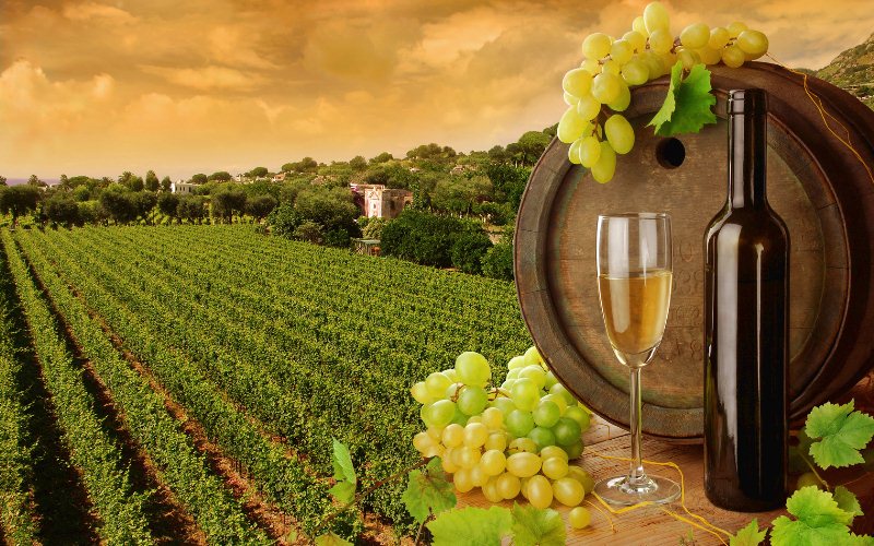 The Wine Italia Consiglia....I Vini Per le Vostre Feste!